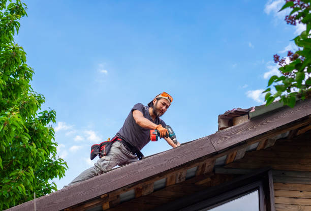 Best Gutter Installation and Repair  in Lady Lake, FL